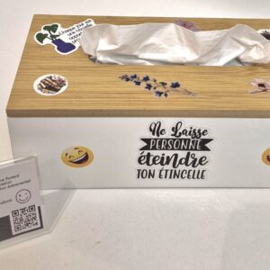 Kdo boite à mouchoirs pour Maîtresse